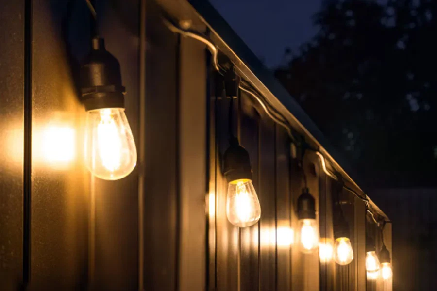 Best Festoon Lights