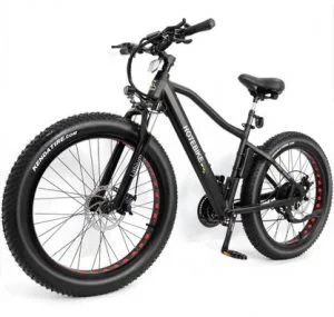 Electric BIKE
