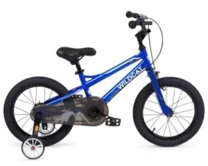 Wildcat Kids Bike