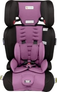 Convertible Booster Seat