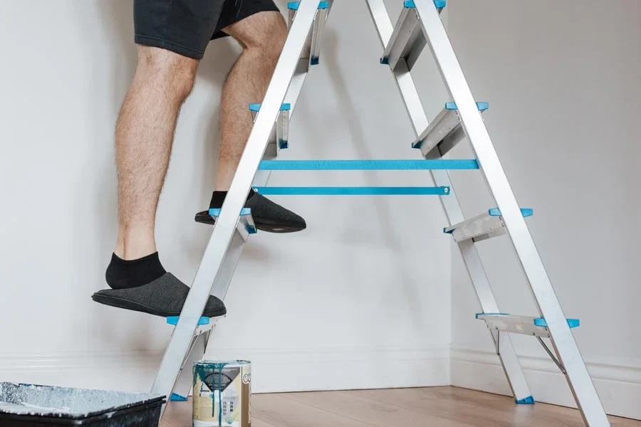 Best Step Ladders