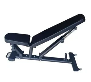 Fitness Adjustable Bench