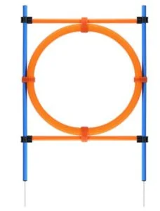 Agility Hoop