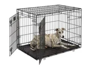 Dog Crates