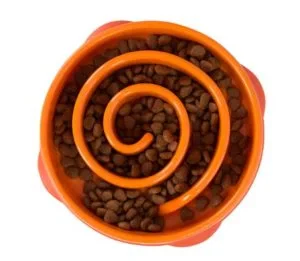 Interactive Dog Bowl