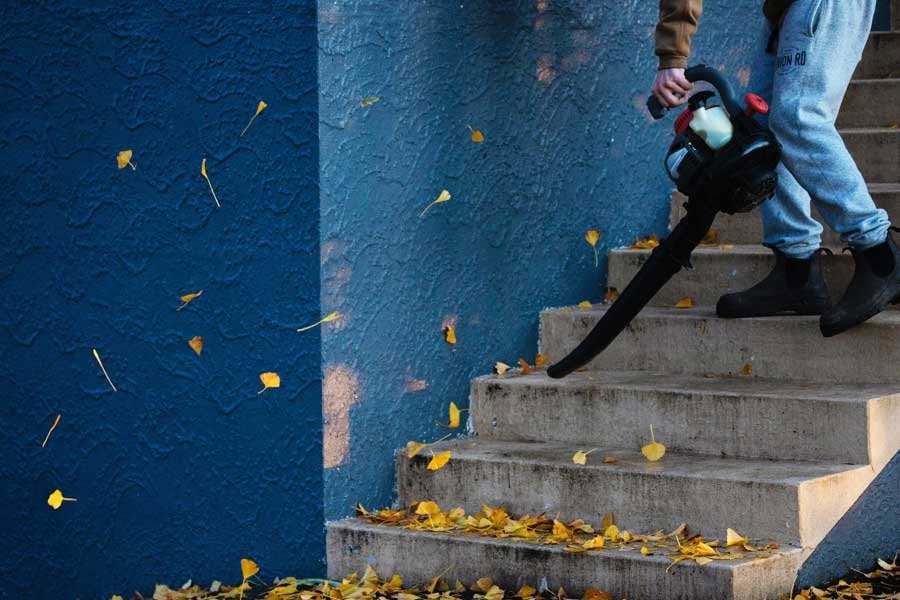 Best Leaf Blowers