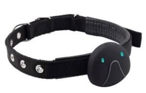 GPS Tracker 