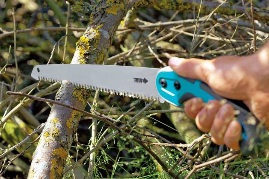 Best Pruning Saws