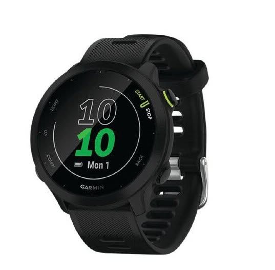 Garmin Forerunner 55 Smartwatch