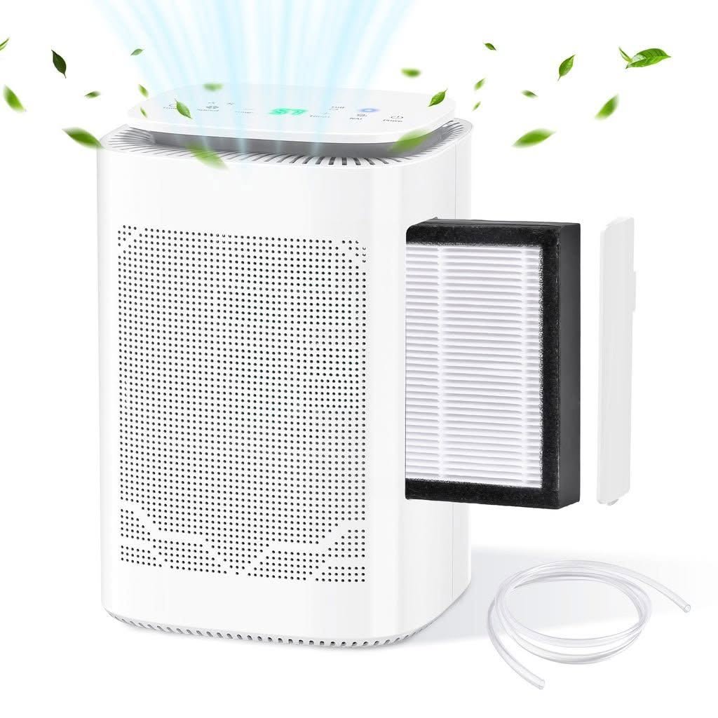 Advwin 2-in-1 Dehumidifier & Air Purifier product photo