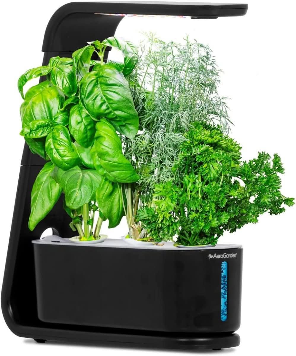 AeroGarden Sprout compact indoor garden