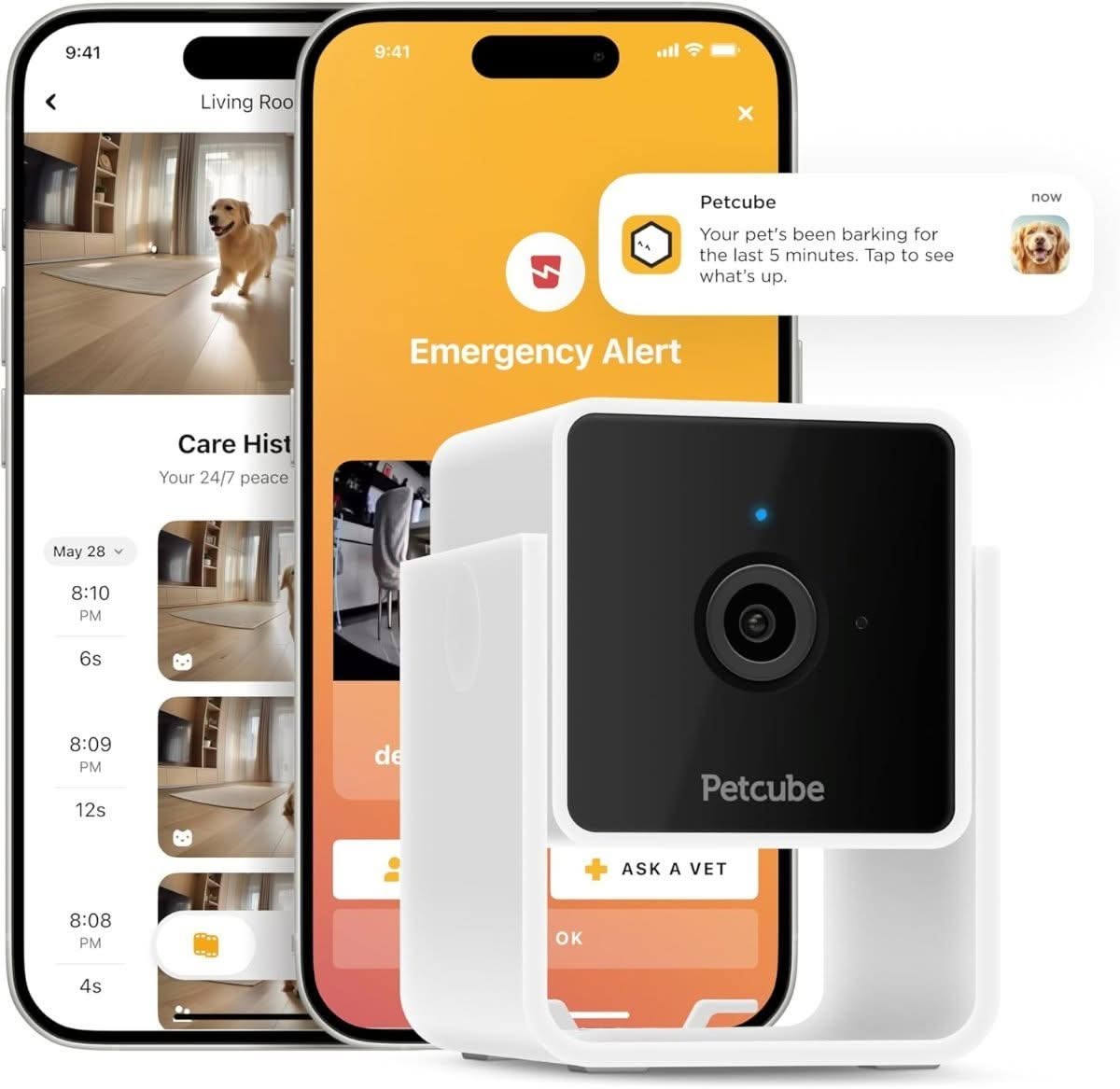 Petcube pet camera